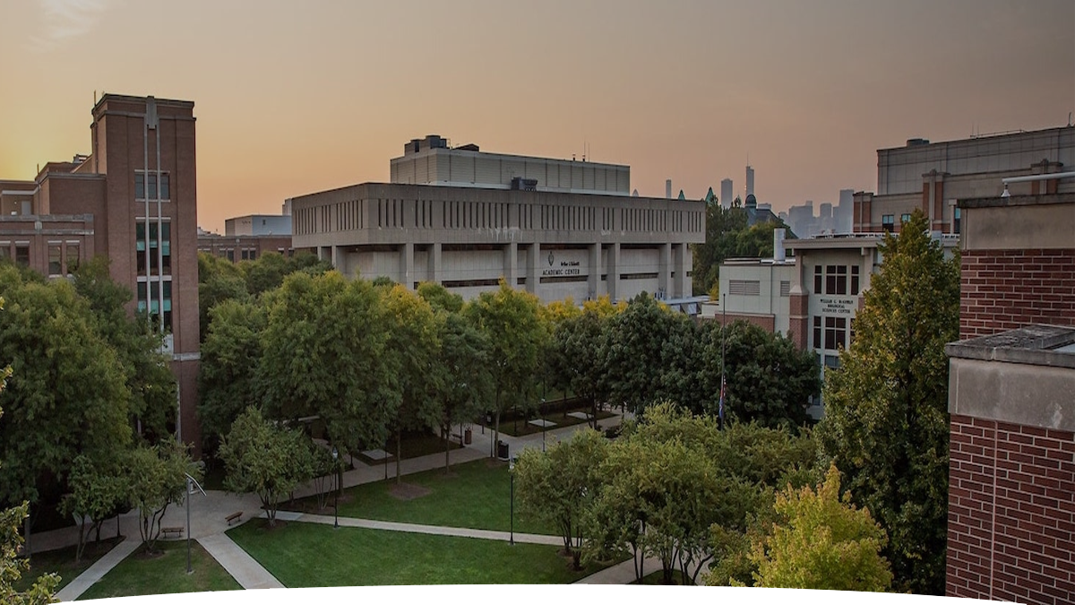 DePaul University